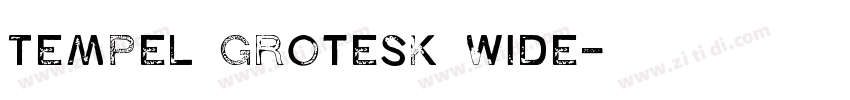 Tempel Grotesk Wide字体转换